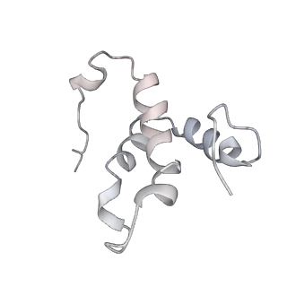 10340_6t0b_w_v1-1
The III2-IV(5B)2 respiratory supercomplex from S. cerevisiae