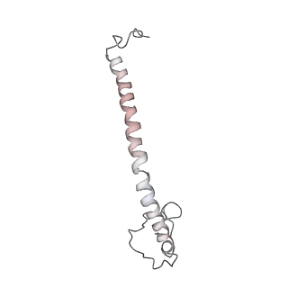 10340_6t0b_x_v1-1
The III2-IV(5B)2 respiratory supercomplex from S. cerevisiae