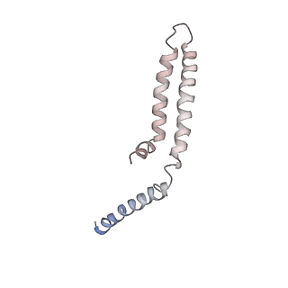 10340_6t0b_z_v1-1
The III2-IV(5B)2 respiratory supercomplex from S. cerevisiae