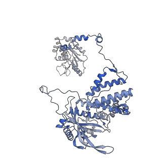 10356_6t0n_A_v1-2
Bat Influenza A polymerase pre-initiation complex