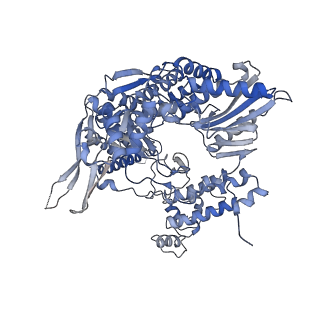 10356_6t0n_B_v1-2
Bat Influenza A polymerase pre-initiation complex