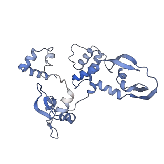 10356_6t0n_C_v1-2
Bat Influenza A polymerase pre-initiation complex