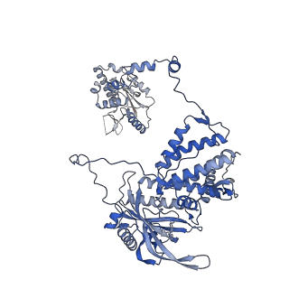 10357_6t0r_A_v1-2
Bat Influenza A polymerase product dissociation complex using 44-mer vRNA template with mutated oligo(U) sequence
