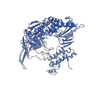 10357_6t0r_B_v1-2
Bat Influenza A polymerase product dissociation complex using 44-mer vRNA template with mutated oligo(U) sequence