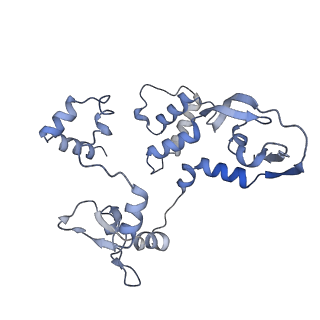 10357_6t0r_C_v1-2
Bat Influenza A polymerase product dissociation complex using 44-mer vRNA template with mutated oligo(U) sequence