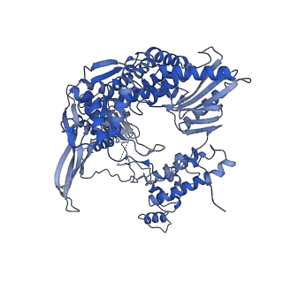 10358_6t0s_B_v1-2
Bat Influenza A polymerase stuttering complex using 44-mer vRNA template with intact oligo(U) sequence