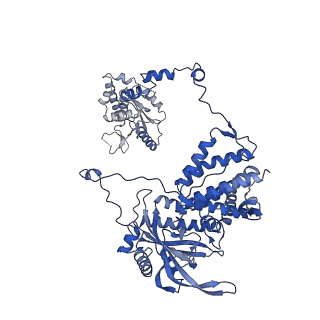 10359_6t0u_A_v1-2
Bat Influenza A polymerase product dissociation complex using 44-mer vRNA template with intact oligo(U) sequence