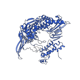 10359_6t0u_B_v1-2
Bat Influenza A polymerase product dissociation complex using 44-mer vRNA template with intact oligo(U) sequence