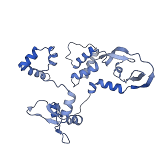 10359_6t0u_C_v1-2
Bat Influenza A polymerase product dissociation complex using 44-mer vRNA template with intact oligo(U) sequence