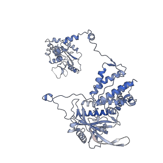 10360_6t0v_A_v1-2
Bat Influenza A polymerase elongation complex with incoming UTP analogue (complete polymerase)