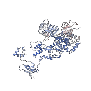 10360_6t0v_C_v1-2
Bat Influenza A polymerase elongation complex with incoming UTP analogue (complete polymerase)