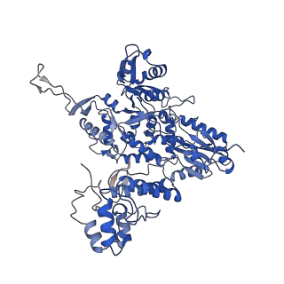 10361_6t0w_B_v1-2
Human Influenza B polymerase recycling complex