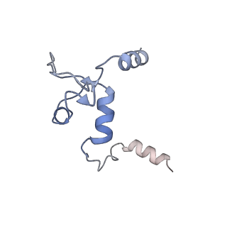 10361_6t0w_C_v1-2
Human Influenza B polymerase recycling complex