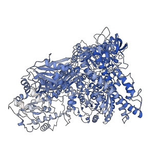 25577_7t02_A_v1-3
Cryo-EM structure of DNMT5 pseudo-ternary complex solved by incubation with hemimethylated DNA and SAM