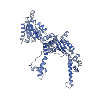 25582_7t0v_A_v1-1
CryoEM structure of the crosslinked Rix7 AAA-ATPase