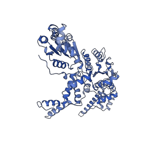 25582_7t0v_B_v1-1
CryoEM structure of the crosslinked Rix7 AAA-ATPase