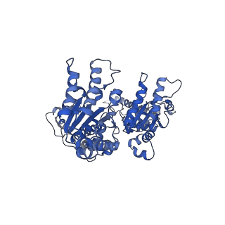 25582_7t0v_C_v1-1
CryoEM structure of the crosslinked Rix7 AAA-ATPase