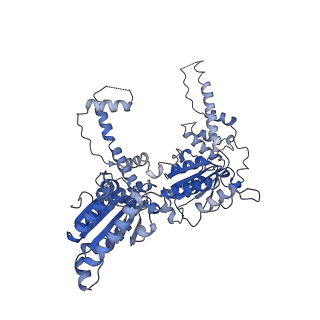 25582_7t0v_D_v1-1
CryoEM structure of the crosslinked Rix7 AAA-ATPase