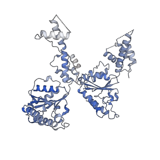 25582_7t0v_E_v1-1
CryoEM structure of the crosslinked Rix7 AAA-ATPase