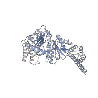 25582_7t0v_F_v1-1
CryoEM structure of the crosslinked Rix7 AAA-ATPase
