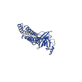 25583_7t0w_B_v1-1
Complex of GABA-A synaptic receptor with autoimmune antibody Fab115