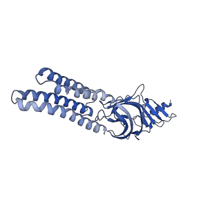 25583_7t0w_E_v1-1
Complex of GABA-A synaptic receptor with autoimmune antibody Fab115
