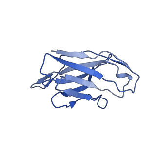 25583_7t0w_H_v1-1
Complex of GABA-A synaptic receptor with autoimmune antibody Fab115