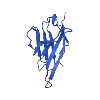 25583_7t0w_L_v1-1
Complex of GABA-A synaptic receptor with autoimmune antibody Fab115