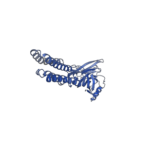 25585_7t0z_C_v1-1
Complex of GABA-A synaptic receptor with autoimmune antibody Fab175