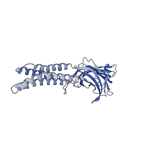 25585_7t0z_E_v1-1
Complex of GABA-A synaptic receptor with autoimmune antibody Fab175