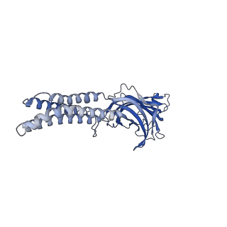25585_7t0z_E_v2-0
Complex of GABA-A synaptic receptor with autoimmune antibody Fab175
