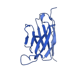 25585_7t0z_H_v1-1
Complex of GABA-A synaptic receptor with autoimmune antibody Fab175