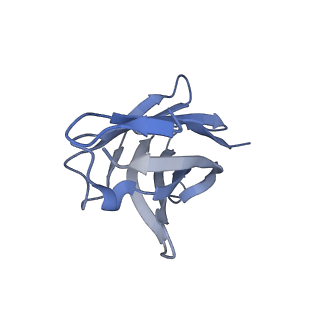 40933_8t03_E_v1-3
Structure of mouse Myomaker bound to Fab18G7 in detergent
