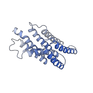 40935_8t05_B_v1-5
Structure of Ciona Myomaker bound to Fab1A1