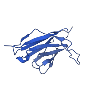 40935_8t05_C_v1-5
Structure of Ciona Myomaker bound to Fab1A1