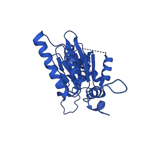 40938_8t08_A_v1-2
Preholo-Proteasome from Pre1-1 Pre4-1 Double Mutant