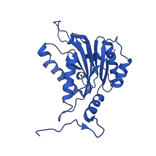 40938_8t08_B_v1-2
Preholo-Proteasome from Pre1-1 Pre4-1 Double Mutant