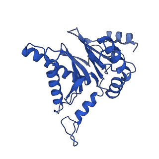 40938_8t08_C_v1-2
Preholo-Proteasome from Pre1-1 Pre4-1 Double Mutant