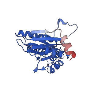 40938_8t08_D_v1-2
Preholo-Proteasome from Pre1-1 Pre4-1 Double Mutant