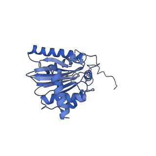 40938_8t08_E_v1-2
Preholo-Proteasome from Pre1-1 Pre4-1 Double Mutant