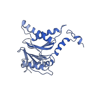 40938_8t08_F_v1-2
Preholo-Proteasome from Pre1-1 Pre4-1 Double Mutant