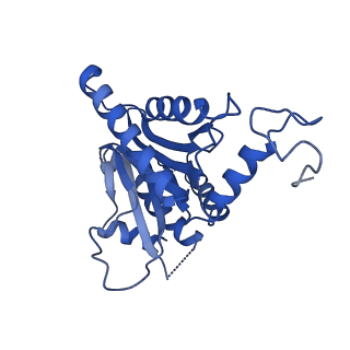 40938_8t08_G_v1-2
Preholo-Proteasome from Pre1-1 Pre4-1 Double Mutant