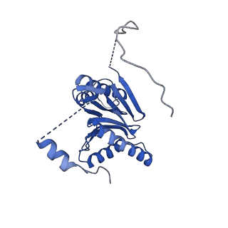 40938_8t08_I_v1-2
Preholo-Proteasome from Pre1-1 Pre4-1 Double Mutant