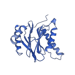 40938_8t08_M_v1-2
Preholo-Proteasome from Pre1-1 Pre4-1 Double Mutant