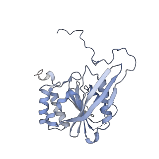 40938_8t08_O_v1-2
Preholo-Proteasome from Pre1-1 Pre4-1 Double Mutant