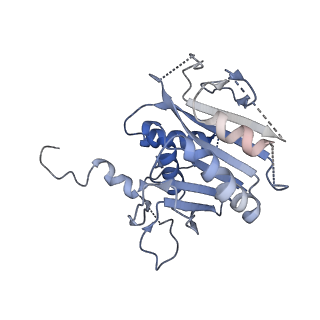 40938_8t08_P_v1-2
Preholo-Proteasome from Pre1-1 Pre4-1 Double Mutant