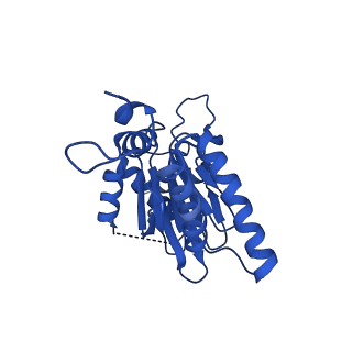 40938_8t08_R_v1-2
Preholo-Proteasome from Pre1-1 Pre4-1 Double Mutant