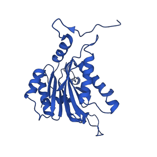 40938_8t08_S_v1-2
Preholo-Proteasome from Pre1-1 Pre4-1 Double Mutant