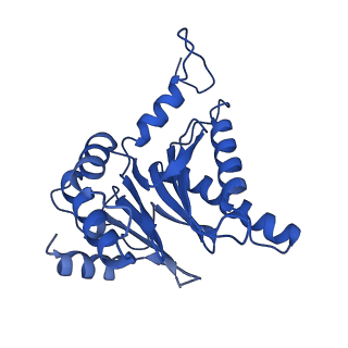 40938_8t08_T_v1-2
Preholo-Proteasome from Pre1-1 Pre4-1 Double Mutant