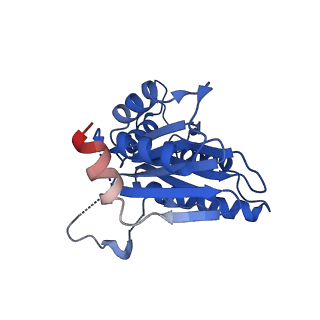 40938_8t08_U_v1-2
Preholo-Proteasome from Pre1-1 Pre4-1 Double Mutant